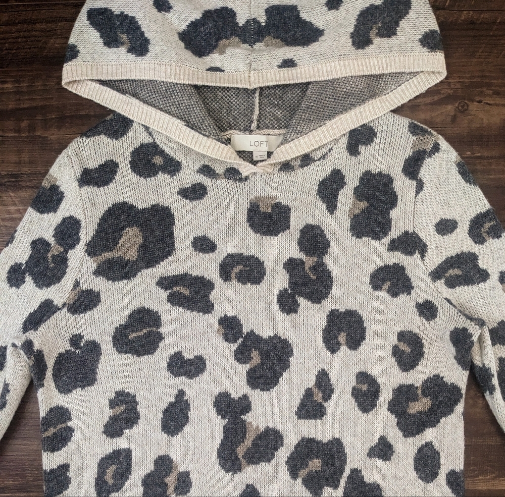 Loft Hooded Sweater
